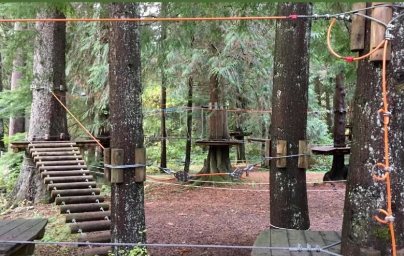 Cozy Suite Close To Nature And The City Maple Ridge Exterior foto
